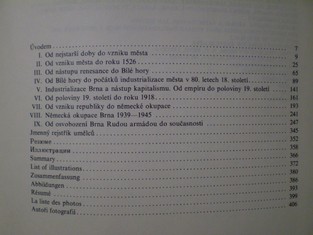 náhled knihy - 