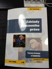 náhled knihy - Základy pracovního práva