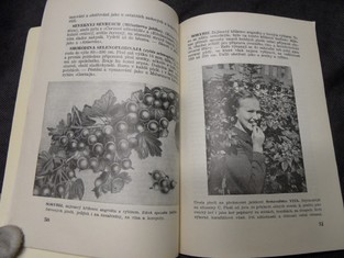 náhled knihy - 