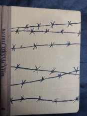 náhled knihy - Malá pevnost Terezín : dokument československého boje za svobodu a nacistického zločinu proti lidskosti