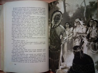 náhled knihy - 