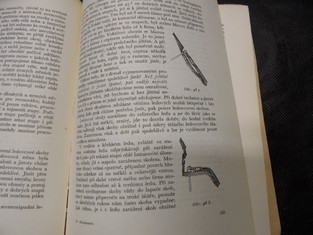 náhled knihy - 