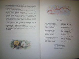 náhled knihy - 