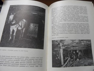 náhled knihy - 