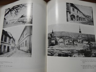 náhled knihy - 