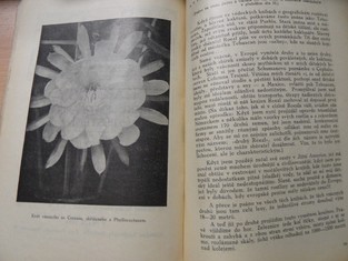 náhled knihy - 