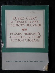 náhled knihy - Rusko-český a česko-ruský lesnický slovník ; Russko-češskij a češsko-russkij lesnoj slovar Russko-češskij a češsko-russkij lesnoj slova