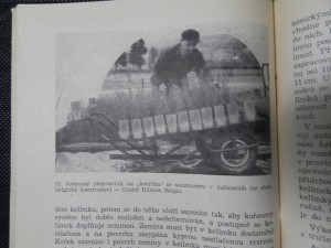 náhled knihy - 