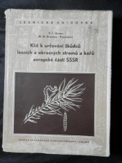 náhled knihy - Klíč k určování škůdců lesních a okrasných stromů a keřů evropské části SSSR