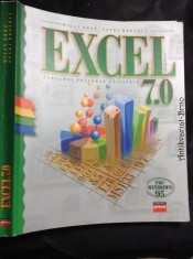 náhled knihy - Excel 7.0 : základní průvodce uživatele