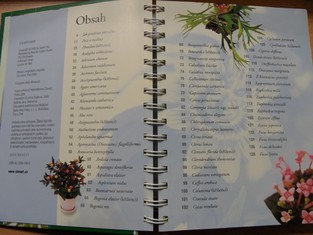 náhled knihy - 