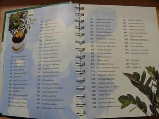 náhled knihy - 