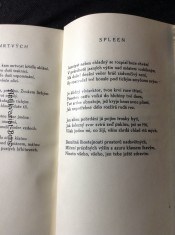 náhled knihy -