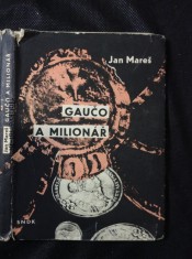 náhled knihy - Gaučo a milionář