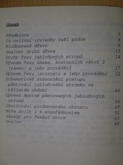 náhled knihy - 