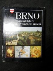 náhled knihy - Brno v architektuře a výtvarném umění
