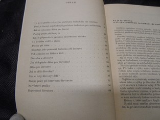 náhled knihy - 