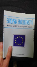 náhled knihy - Evropská společenství : první pilíř Evropské unie
