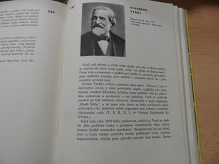 náhled knihy - 