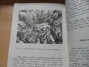 náhled knihy - 