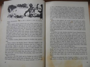 náhled knihy - 