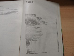 náhled knihy - 