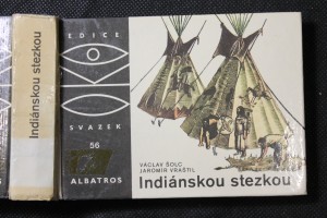 náhled knihy - Indiánskou stezkou