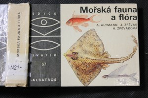náhled knihy - Mořská fauna a flóra : pro čtenáře od 12 let